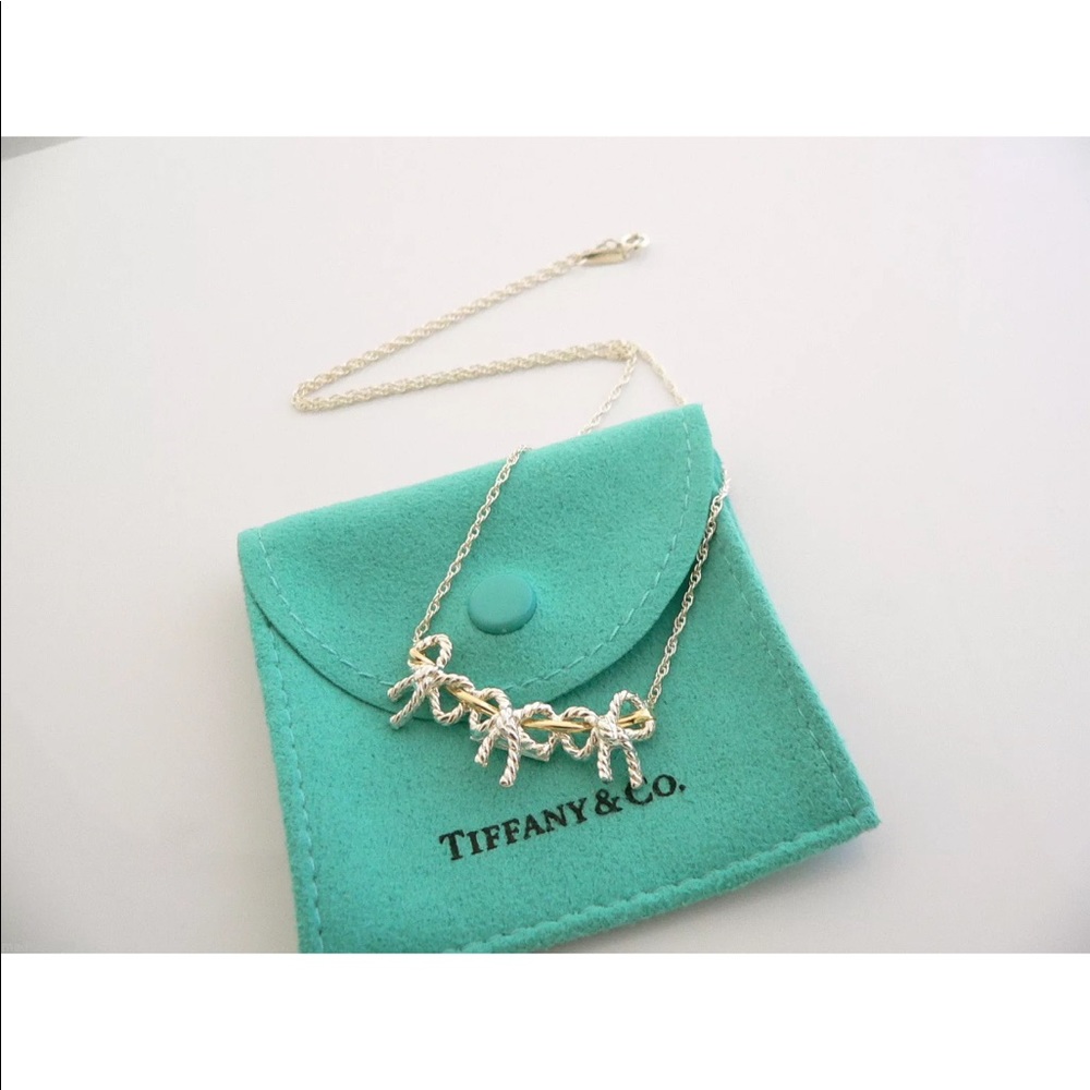 Tiffany & Co RARE necklace
